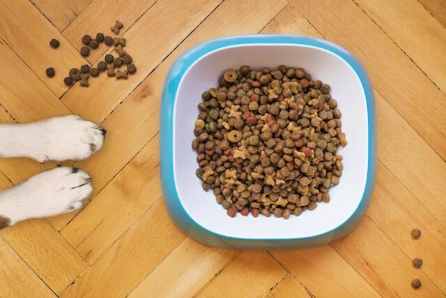 Is Chappie a Good Dog Food? Unraveling the Truth for Your Furry Friend - ShopMyIdea